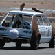 Illustration for article titled The Top 102 Lemons Of The Goin For Broken 24 Hours Of LeMons